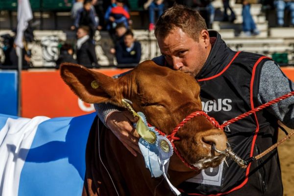 Belgranense “gran campeón” en La Rural