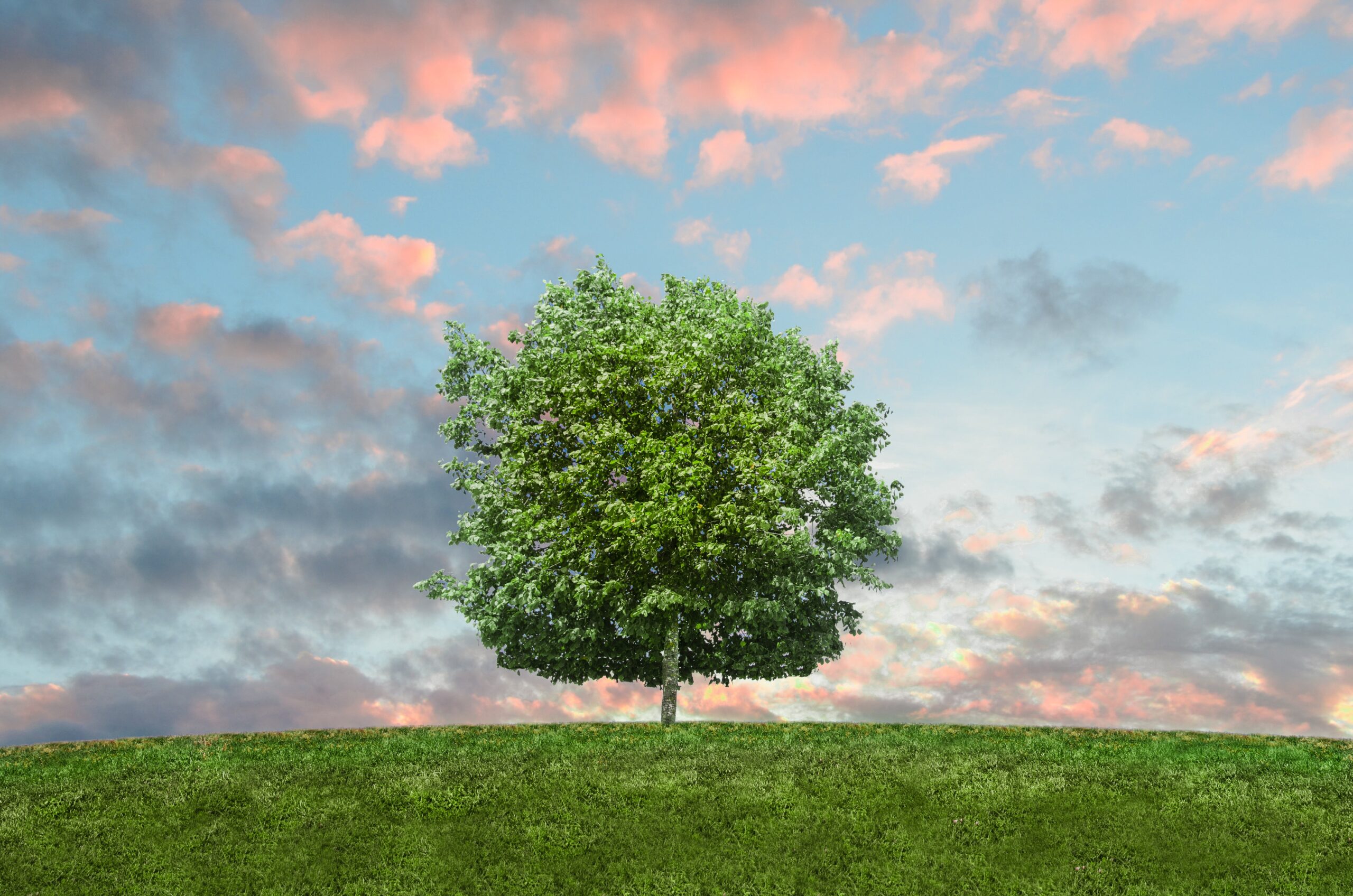 5 de Junio, Día Mundial del Medio Ambiente